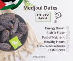 2kg Jumbo Medjoul Dates - Image 3