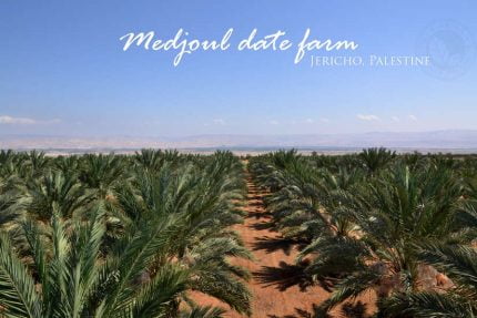 01-date-gallery-cover